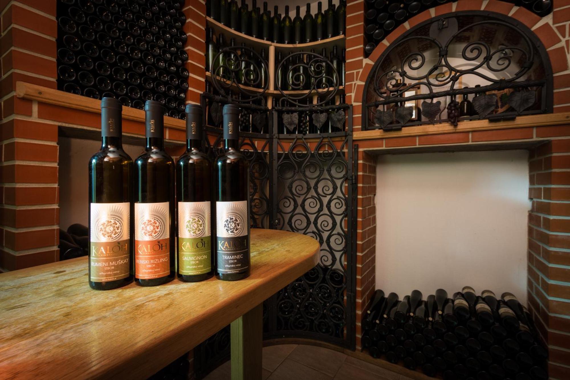 Wine House Kaloh Villa Maribor Exterior photo