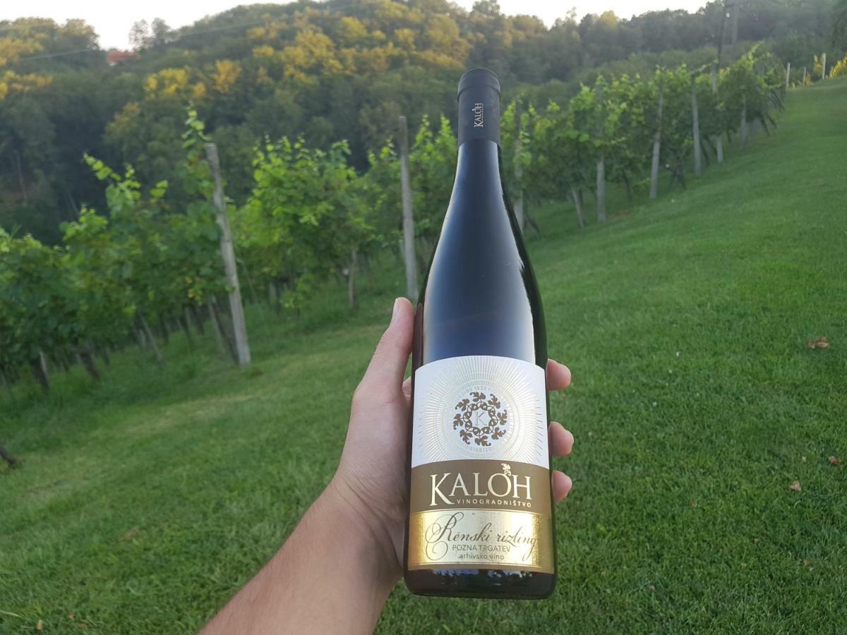 Wine House Kaloh Villa Maribor Exterior photo