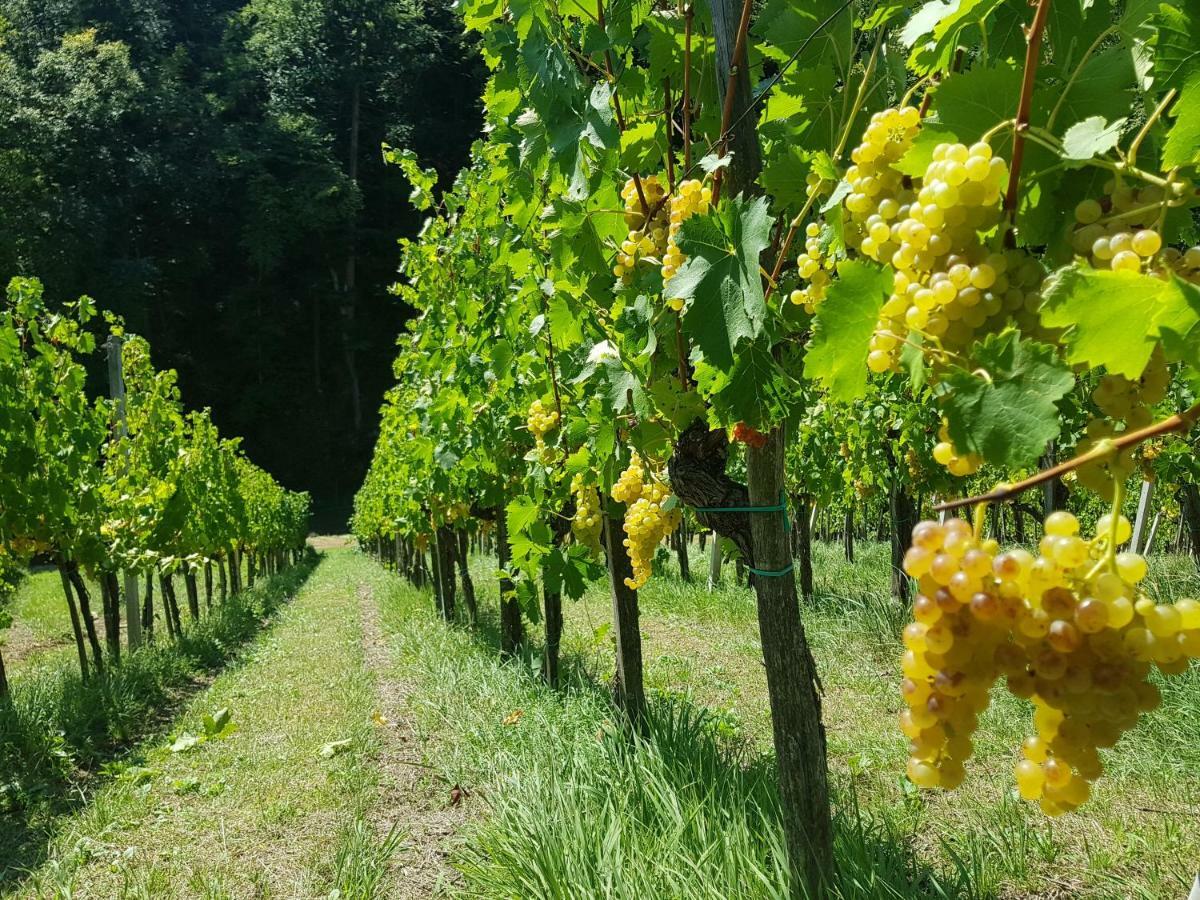Wine House Kaloh Villa Maribor Exterior photo